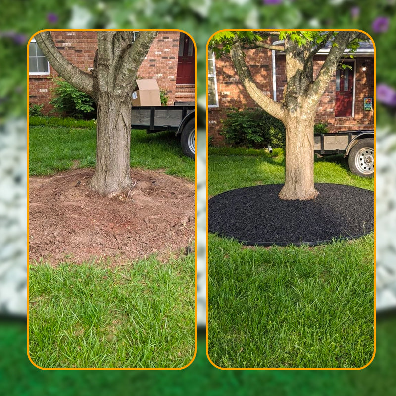 🌿 10M Landscape Edging Roll ✅ No-Dig Install & 30 Spikes | Clean Garden Borders Fast 🌱